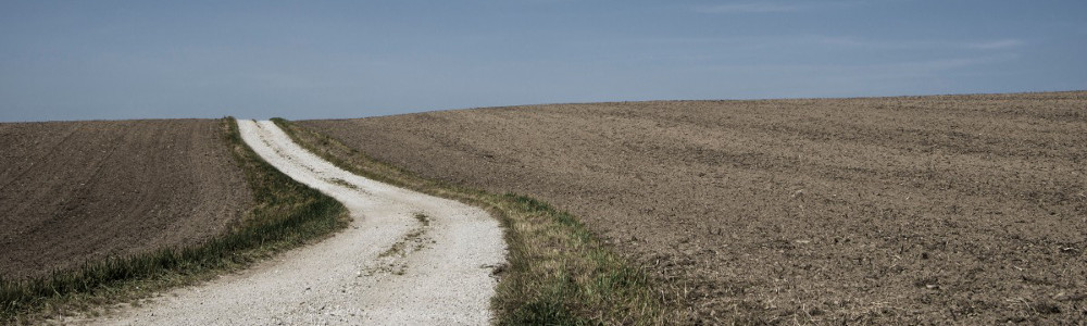 Azotany mogą prowadzić nawet do nowotworów! Uważaj na nie!